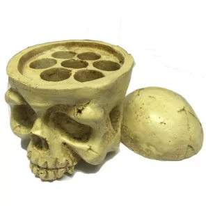Caps of pigments holder (Skull)
