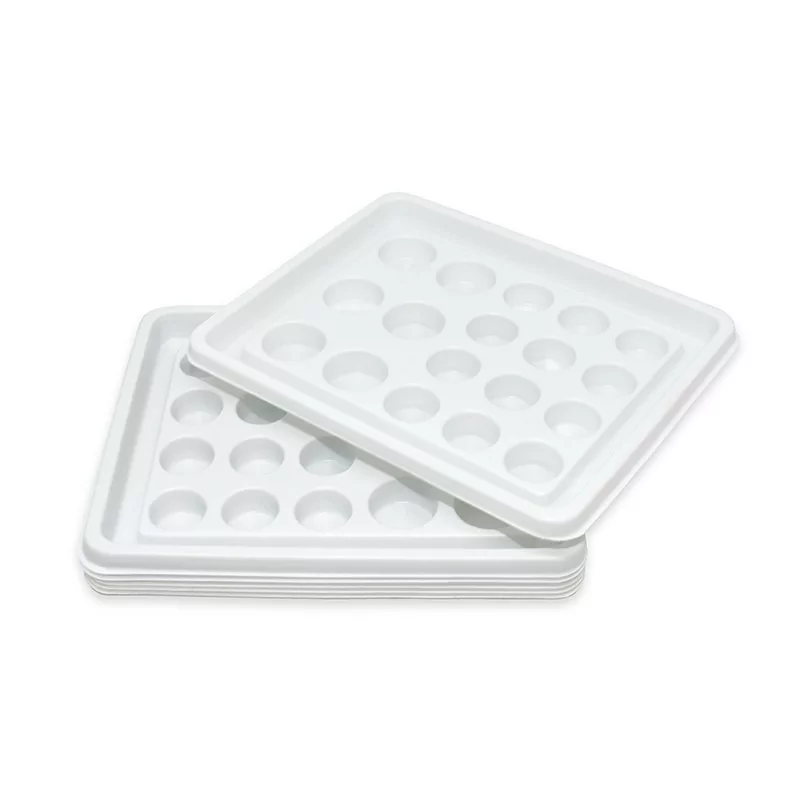 Plastic Tray For Pigment And Pigment Caps 10pcs.