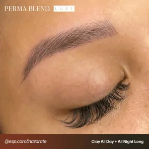 Perma Blend Microblading Pro Пигменты (10мл)