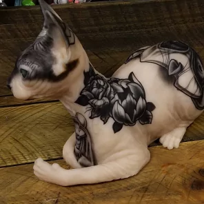 Tatuiruojama Silikoninė Sfinkso Katė